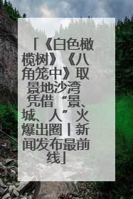 《白色橄榄树》《八角笼中》取景地沙湾 凭借“景、城、人”火爆出圈丨新闻发布最前线
