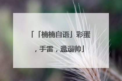 「楠楠自语」彩蛋，手雷，邋遢帅