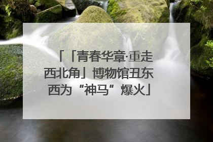 「青春华章·重走西北角」博物馆丑东西为“神马”爆火