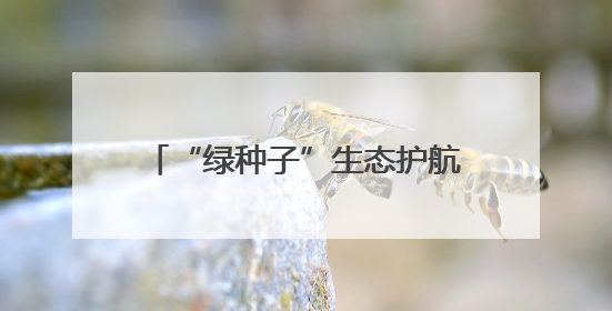 “绿种子”生态护航行动在昆开启 市民感慨污水净化之不易