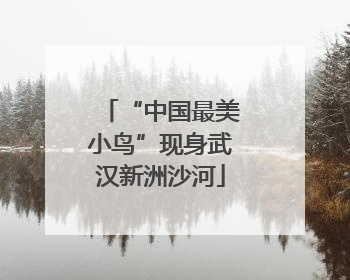 “中国最美小鸟”现身武汉新洲沙河