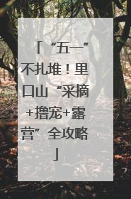 “五一”不扎堆！里口山“采摘+撸宠+露营”全攻略