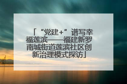 “党建+”谱写幸福莲滨——福建新罗南城街道莲滨社区创新治理模式探访