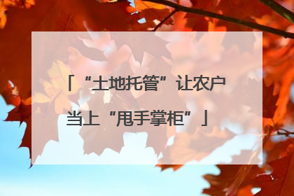 “土地托管”让农户当上“甩手掌柜”