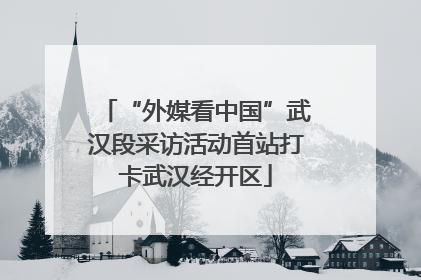 “外媒看中国”武汉段采访活动首站打卡武汉经开区