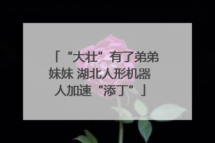 “大壮”有了弟弟妹妹 湖北人形机器人加速“添丁”