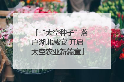 “太空种子”落户湖北咸安 开启太空农业新篇章