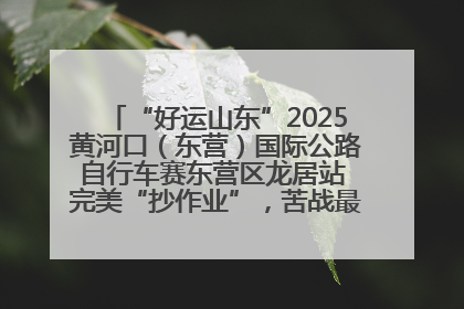 “好运山东”2025黄河口（东营）国际公路自行车赛东营区龙居站 完美“抄作业”，苦战最后时刻黄衫易主