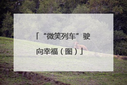 “微笑列车”驶向幸福（图）