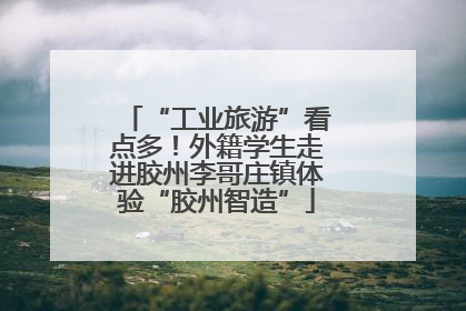 “工业旅游”看点多！外籍学生走进胶州李哥庄镇体验“胶州智造”