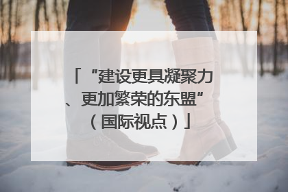 “建设更具凝聚力、更加繁荣的东盟”（国际视点）