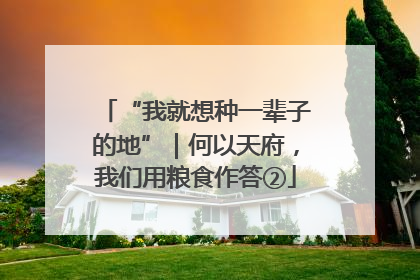 “我就想种一辈子的地”｜何以天府，我们用粮食作答②