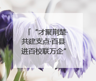 “才聚荆楚·共建支点·百县进百校联万企”走进长江大学文理学院