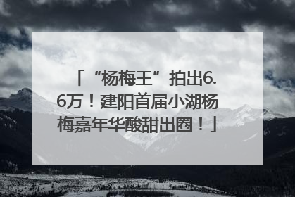 “杨梅王”拍出6.6万！建阳首届小湖杨梅嘉年华酸甜出圈！