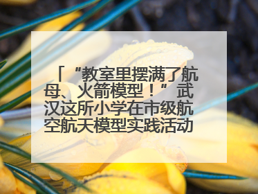 “教室里摆满了航母、火箭模型！”武汉这所小学在市级航空航天模型实践活动中获佳绩