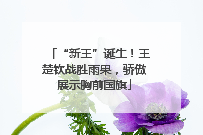 “新王”诞生！王楚钦战胜雨果，骄傲展示胸前国旗
