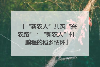 “新农人”共筑“兴农路”：“新农人”付鹏程的稻乡情怀