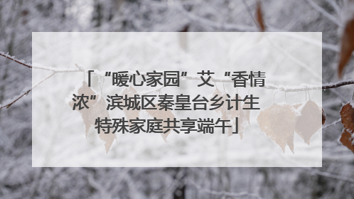 “暖心家园”艾“香情浓”滨城区秦皇台乡计生特殊家庭共享端午