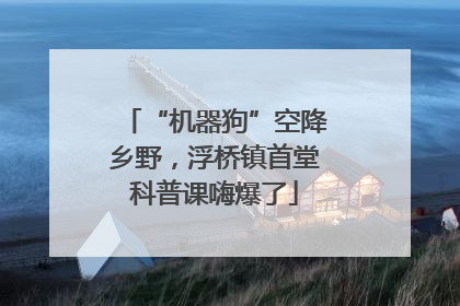 “机器狗”空降乡野，浮桥镇首堂科普课嗨爆了