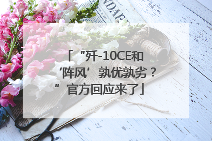“歼-10CE和‘阵风’孰优孰劣？”官方回应来了