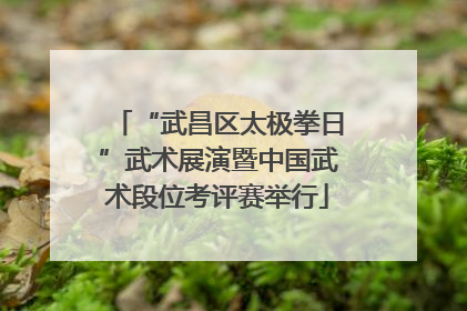 “武昌区太极拳日”武术展演暨中国武术段位考评赛举行