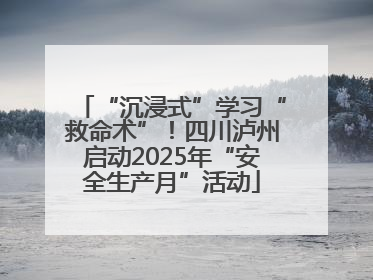 “沉浸式”学习“救命术”！四川泸州启动2025年“安全生产月”活动