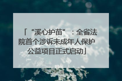 “溪心护苗”：全省法院首个涉诉未成年人保护公益项目正式启动