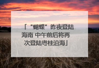 “蝴蝶”昨夜登陆海南 中午前后将再次登陆粤桂沿海