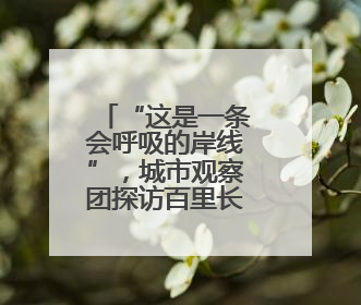 “这是一条会呼吸的岸线”，城市观察团探访百里长江生态廊道青山段