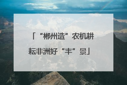 “郴州造”农机耕耘非洲好“丰”景