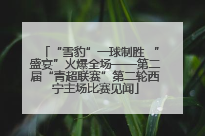 “雪豹”一球制胜 “盛宴”火爆全场——第二届“青超联赛”第二轮西宁主场比赛见闻