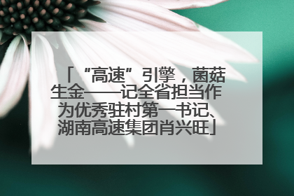 “高速”引擎，菌菇生金——记全省担当作为优秀驻村第一书记、湖南高速集团肖兴旺