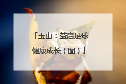 玉山：益启足球 健康成长（图）