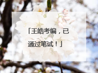 王皓考编，已通过笔试！