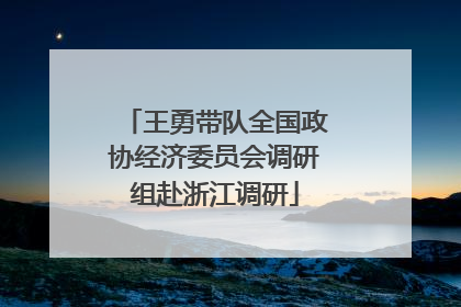 王勇带队全国政协经济委员会调研组赴浙江调研