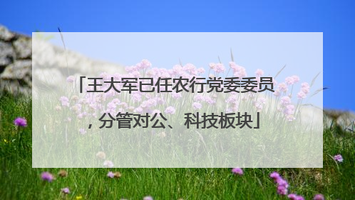 王大军已任农行党委委员，分管对公、科技板块