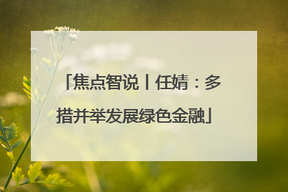 焦点智说丨任婧：多措并举发展绿色金融
