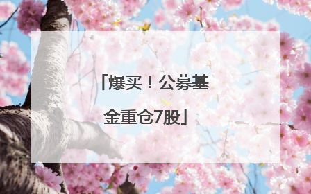 爆买！公募基金重仓7股