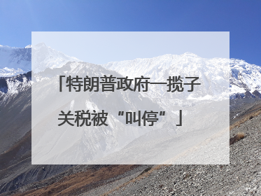 特朗普政府一揽子关税被“叫停”