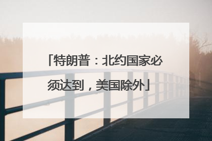 特朗普：北约国家必须达到，美国除外