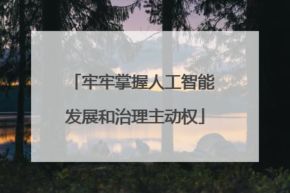 牢牢掌握人工智能发展和治理主动权