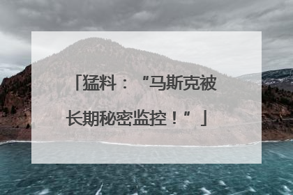 猛料：“马斯克被长期秘密监控！”