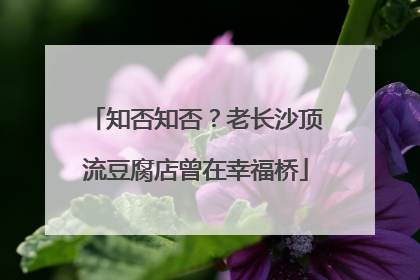 知否知否？老长沙顶流豆腐店曾在幸福桥