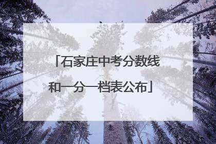 石家庄中考分数线和一分一档表公布