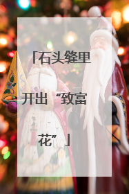 石头缝里开出“致富花”