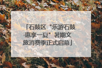 石鼓区“乐游石鼓·惠享一夏”暑期文旅消费季正式启幕