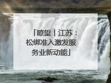 瞭望丨江苏：松绑准入激发服务业新动能