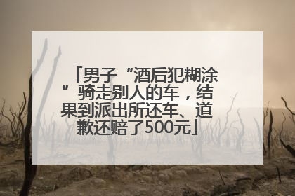 男子“酒后犯糊涂”骑走别人的车，结果到派出所还车、道歉还赔了500元
