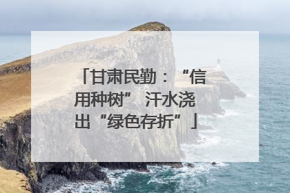 甘肃民勤：“信用种树” 汗水浇出“绿色存折”