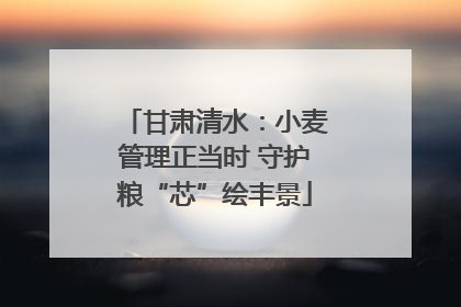 甘肃清水：小麦管理正当时 守护粮“芯”绘丰景